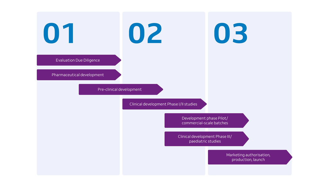 Infografica processi di sviluppo